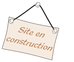 Sen construction 1110