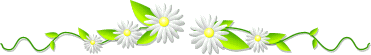 Miayibva
