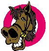Cheval 013