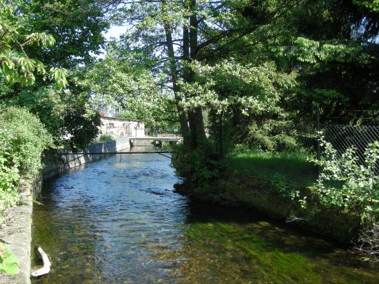 65882340dinsheim bruche 3 jpg