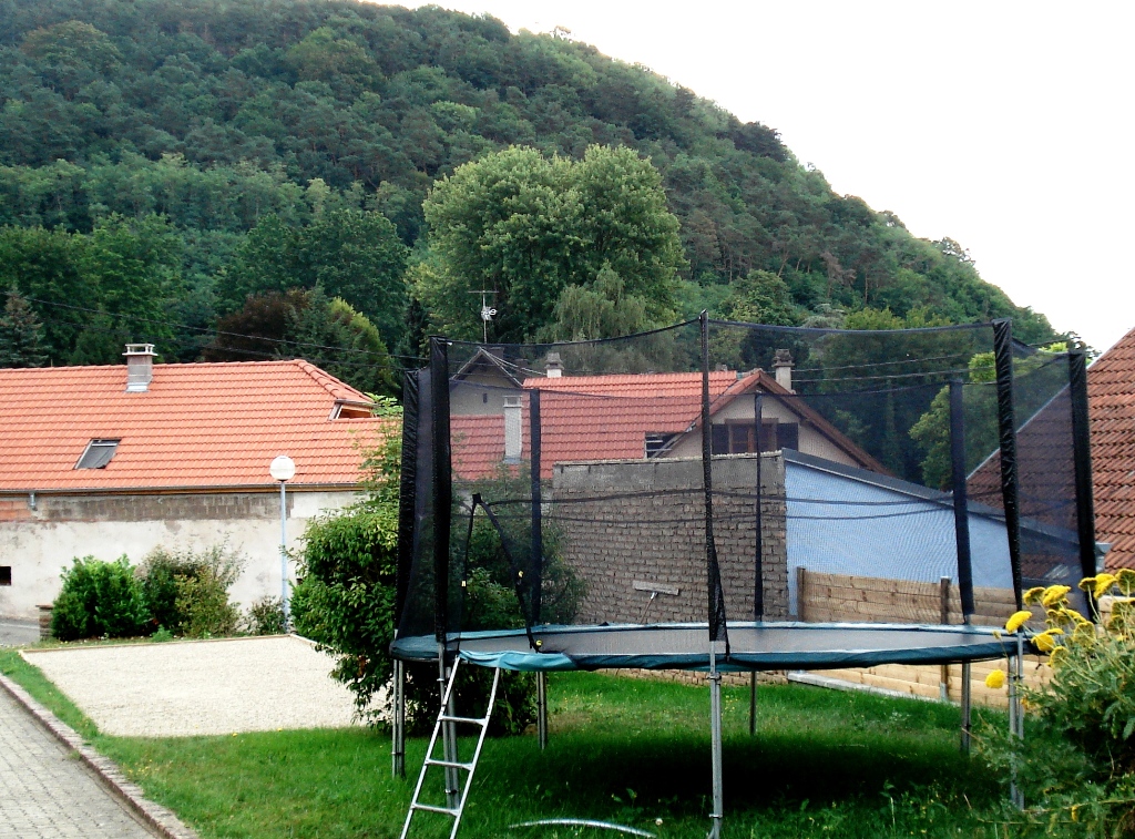 DSC07433