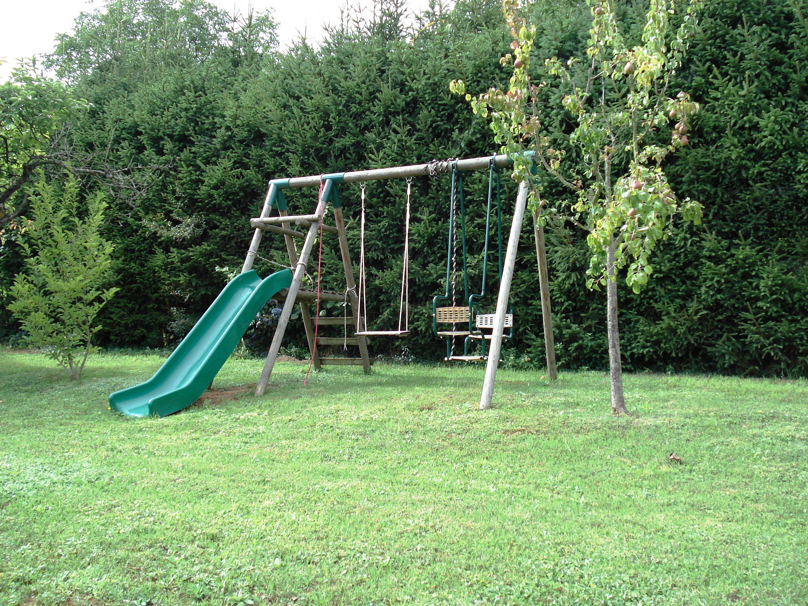 DSC05909