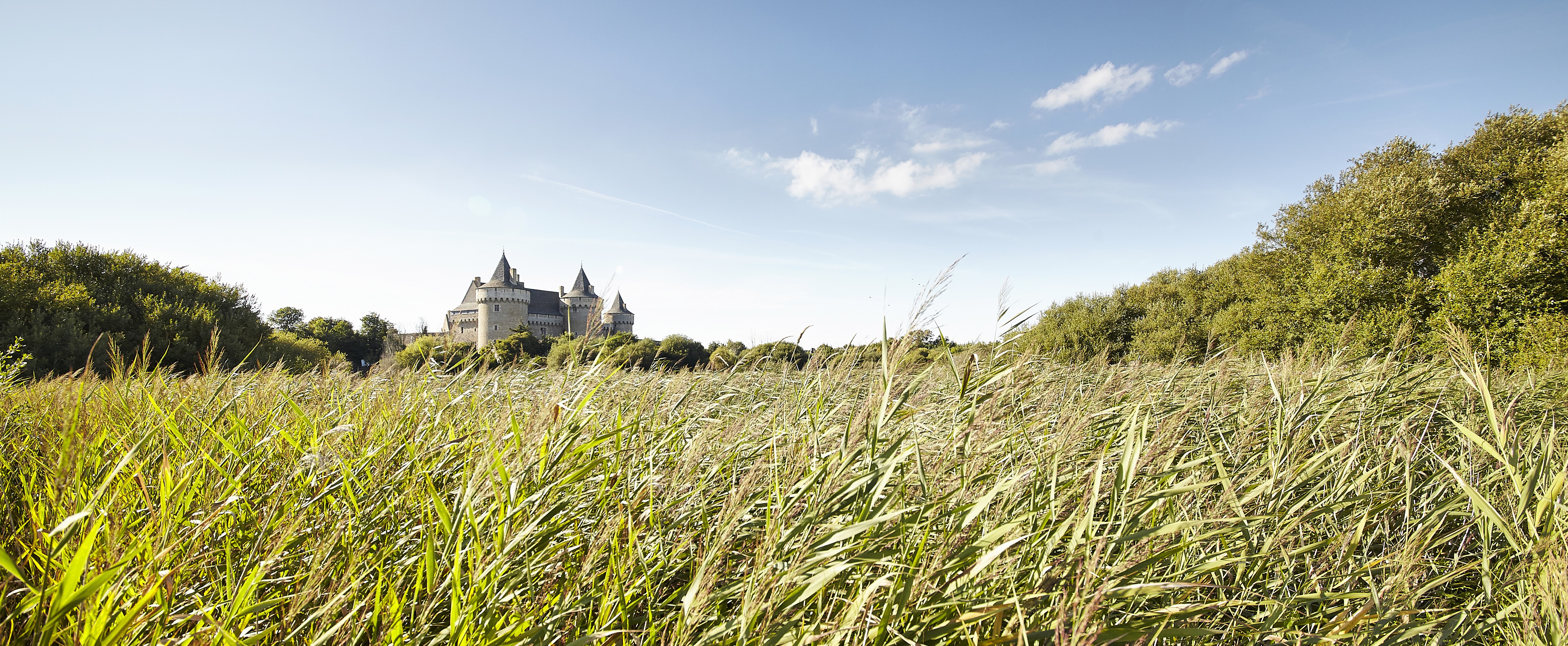 Chateau suscinio
