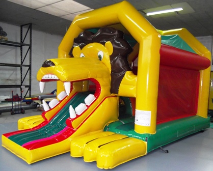 Chateau lion2