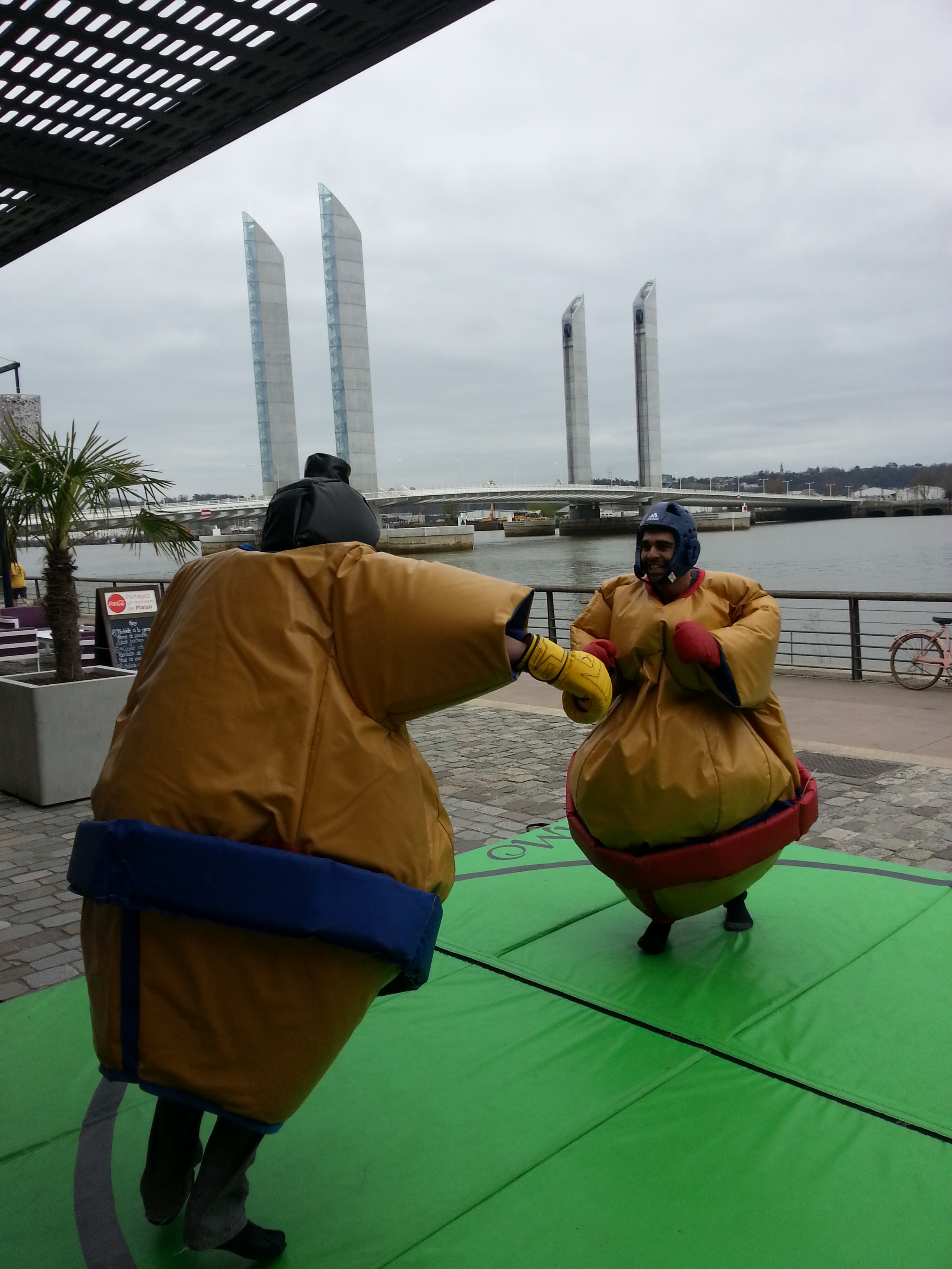 Sumos 31 32 09 11 81 82