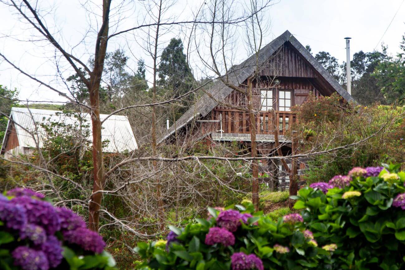 Hebergement en bois nature reunion gite crypto sign n 56