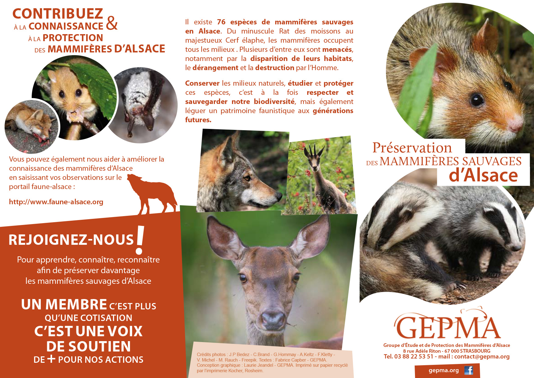 Gepma tract flyer plaquette lazuri graphiste association 02