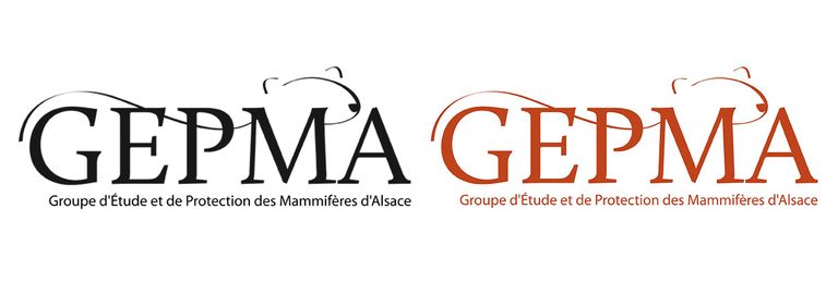Logo association gepma graphiste lazuri