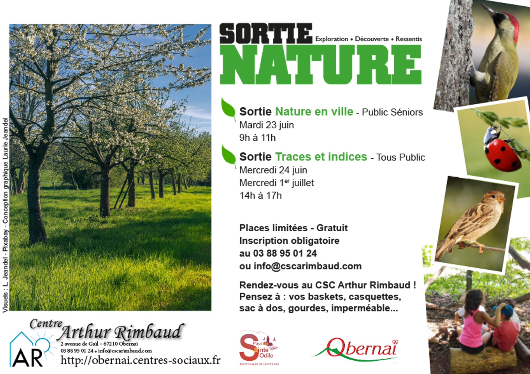 Sortie nature flyer lazuri graphiste association 02