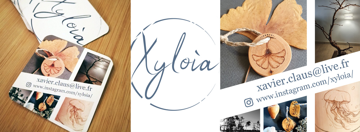 Carte visite xyloia lazuri