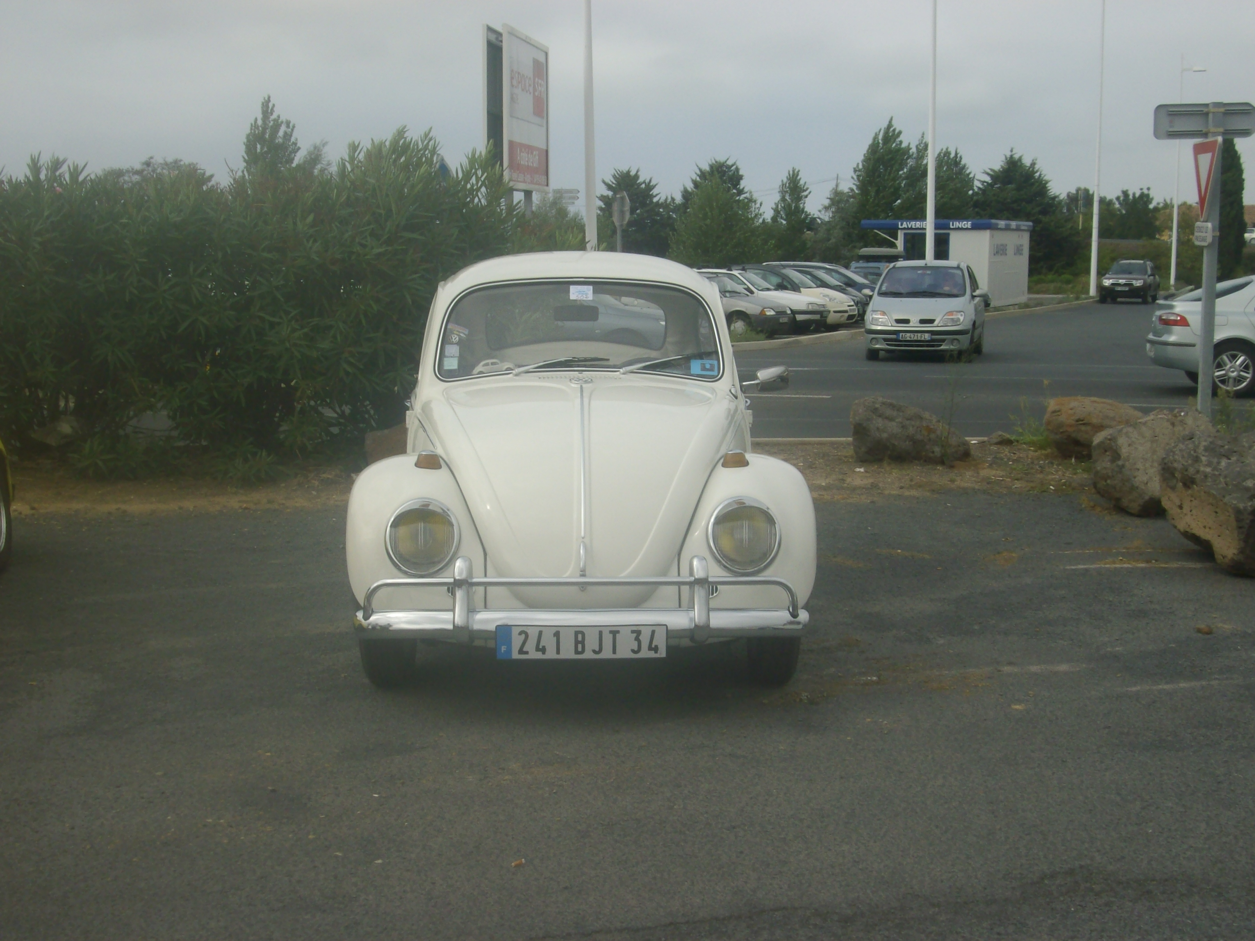 Imgp1906
