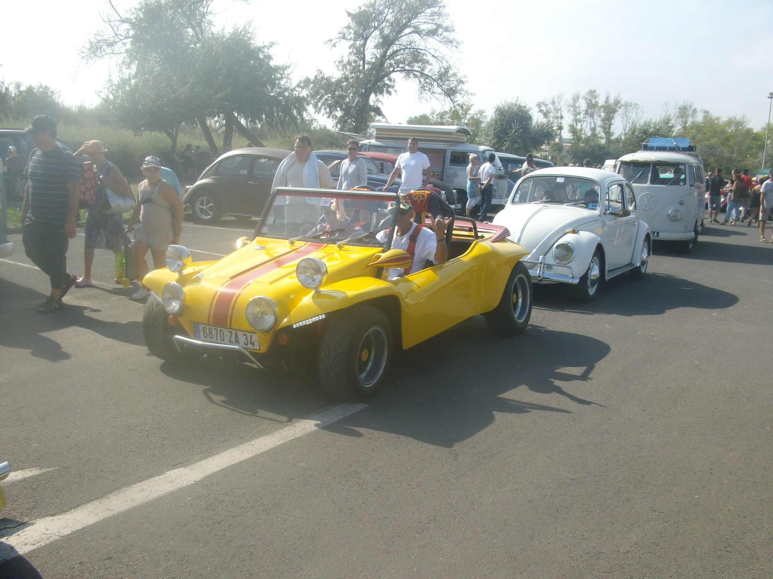 IMGP1981