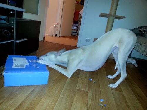Himage et la box
