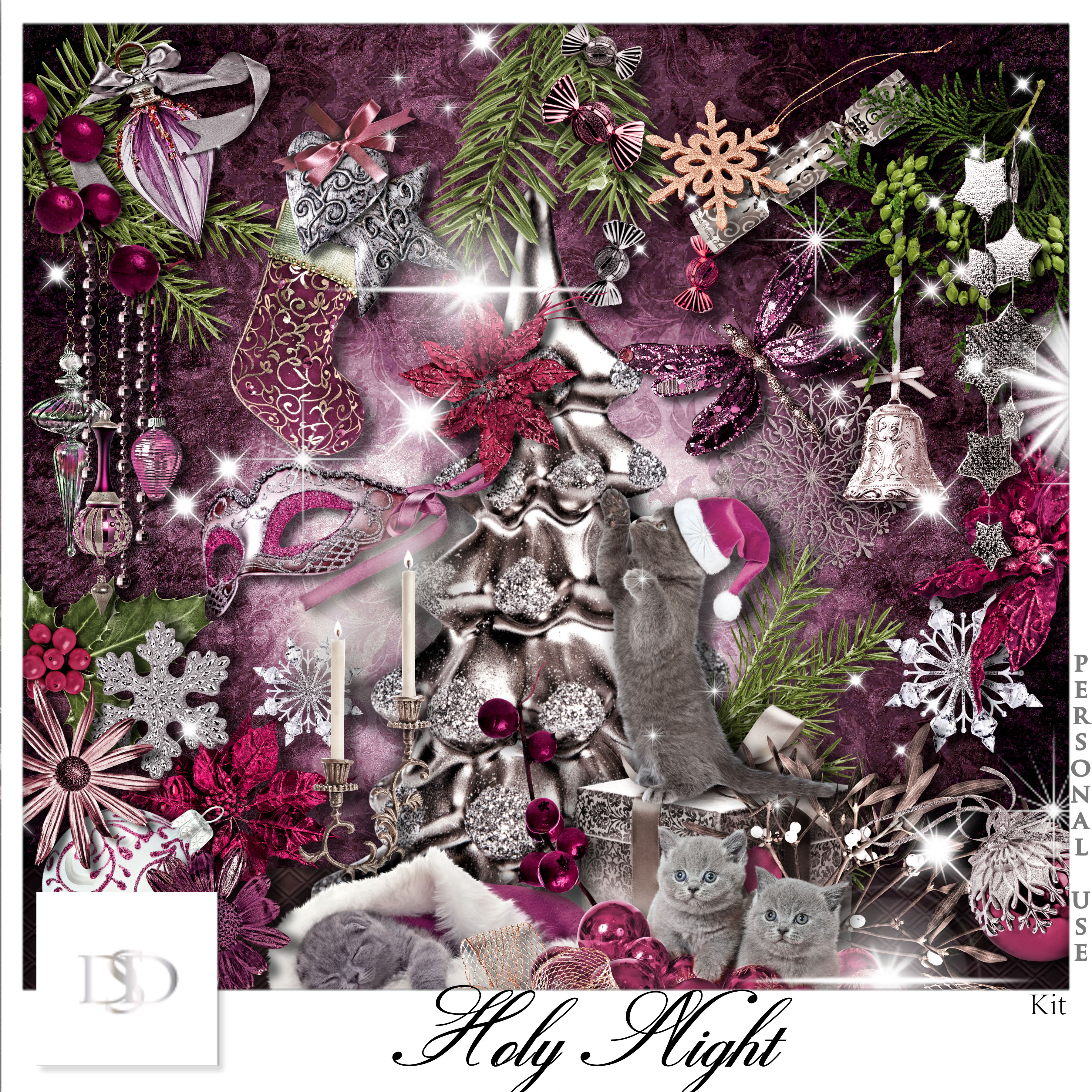Dsd holynight kit