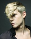 Hairstyle184