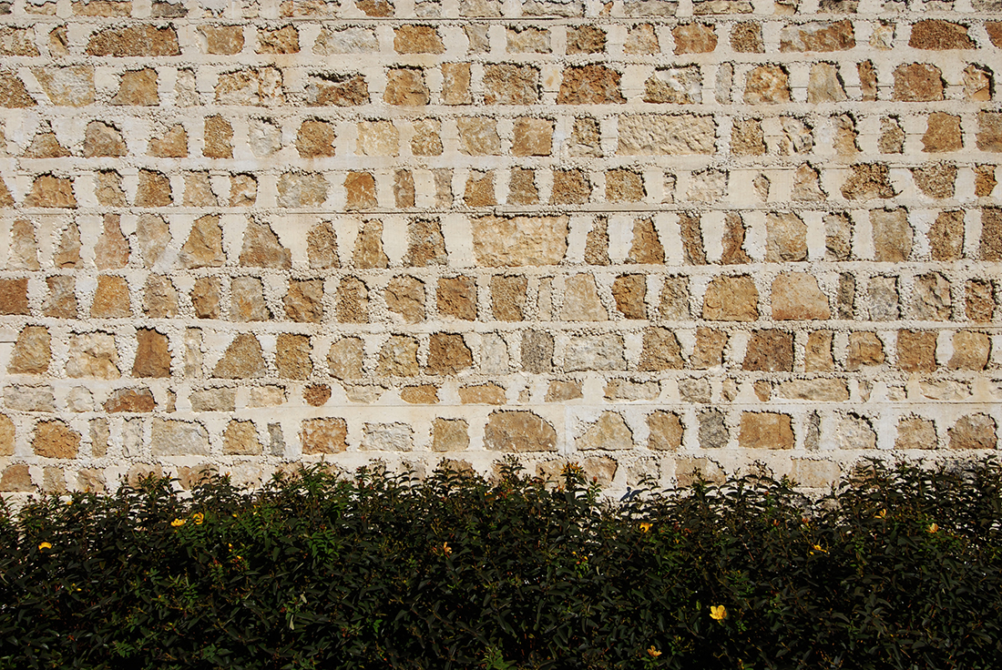 Dsc 0151 copie w