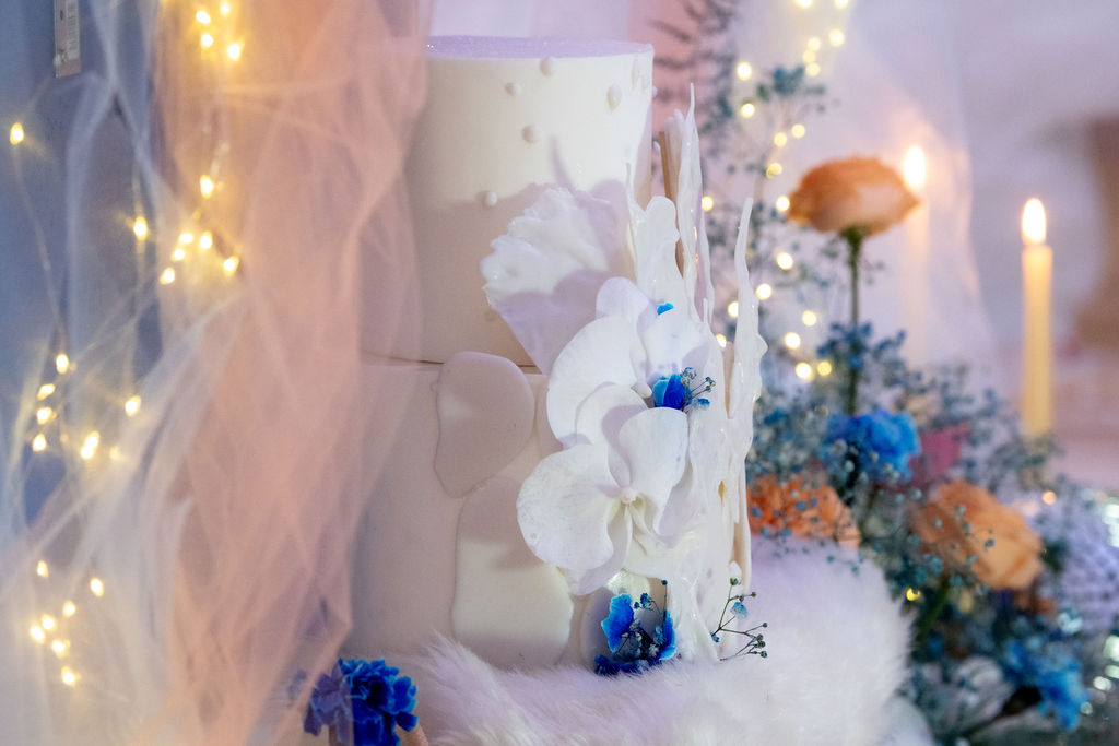 Cecilecayon igloo 95 6 