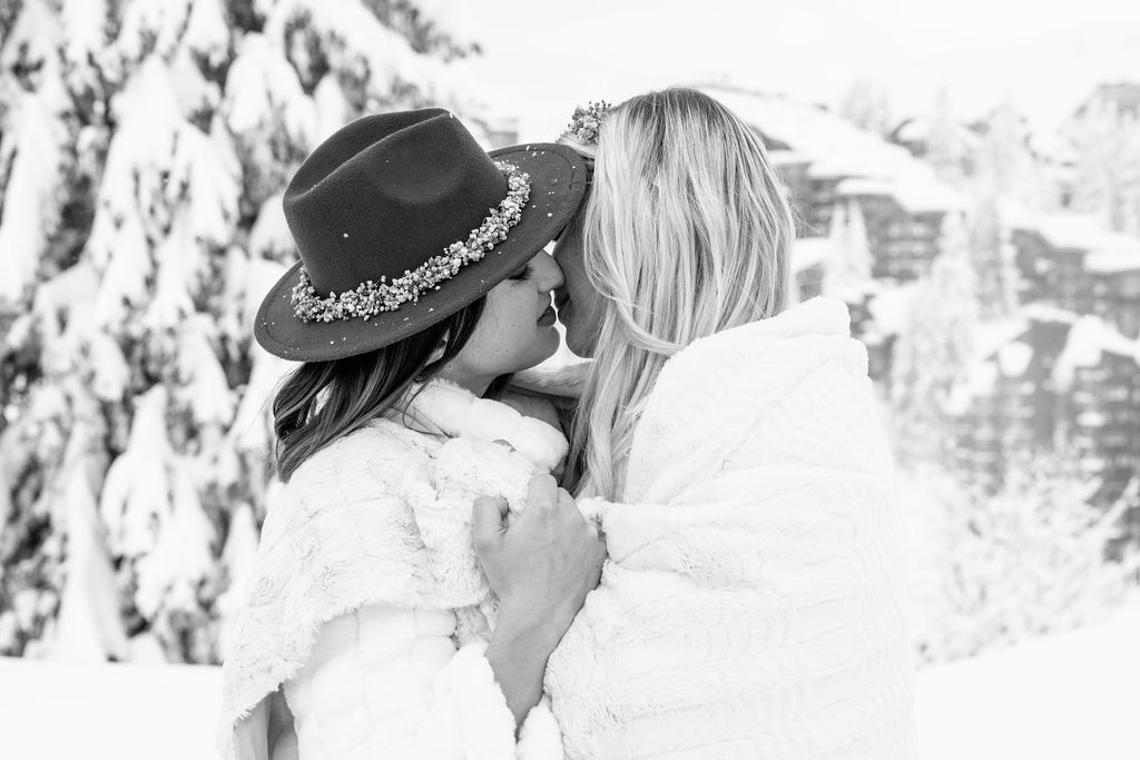 Cecilecayon igloo 74
