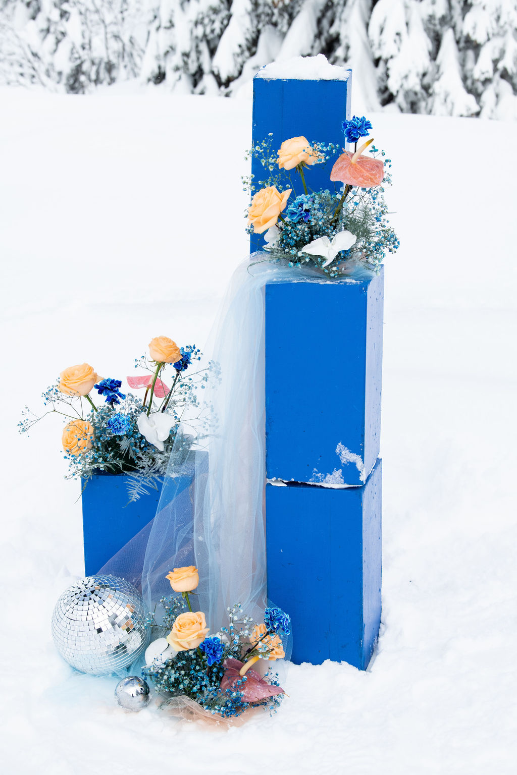 Cecilecayon igloo 46