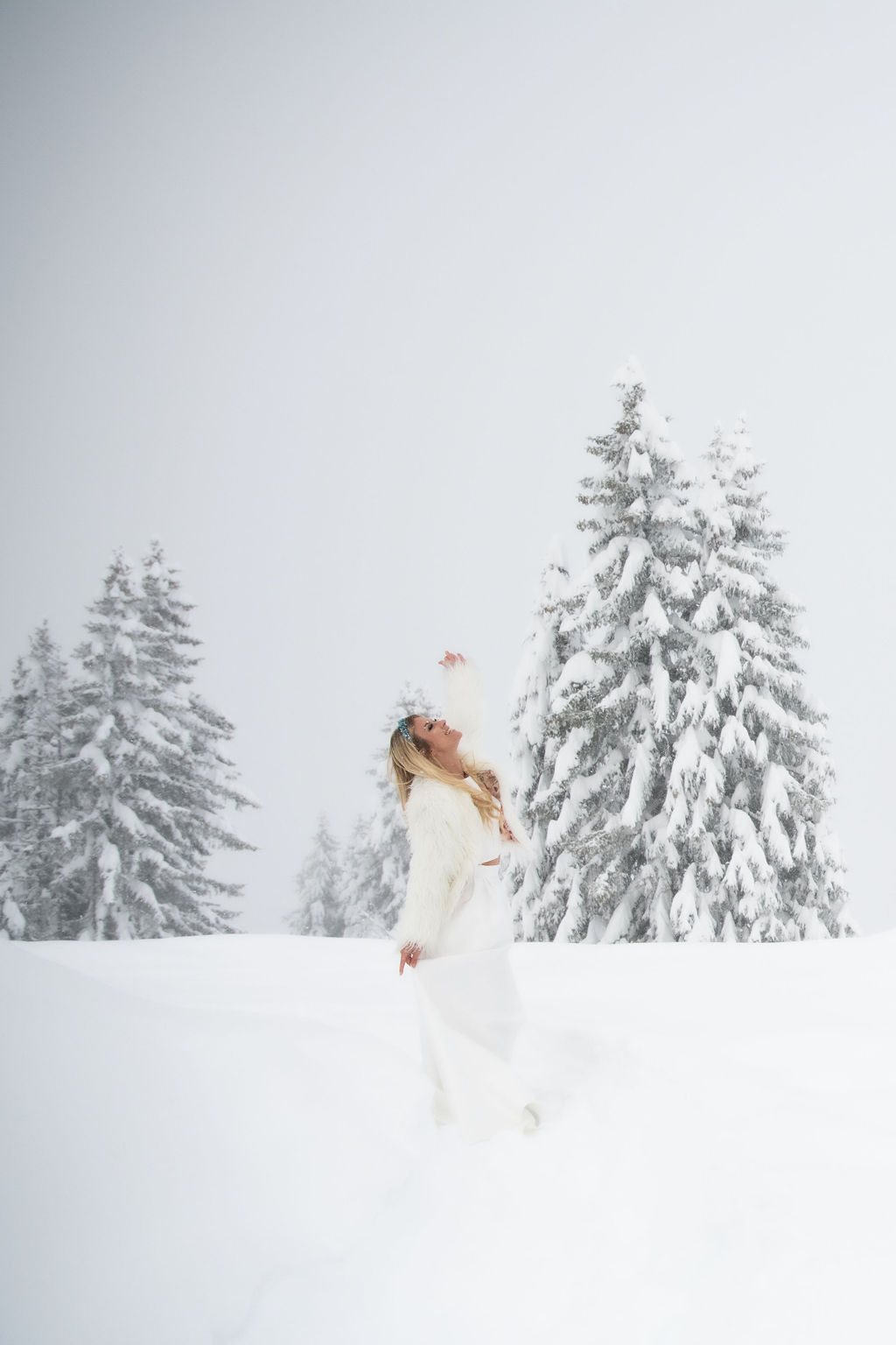 Cecilecayon igloo 24