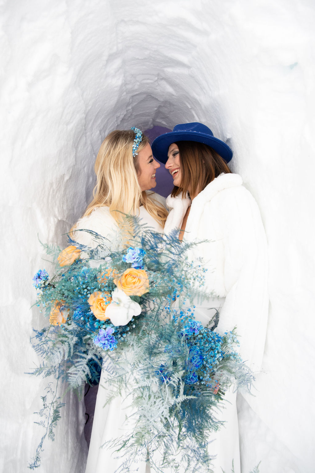 Cecilecayon igloo 532