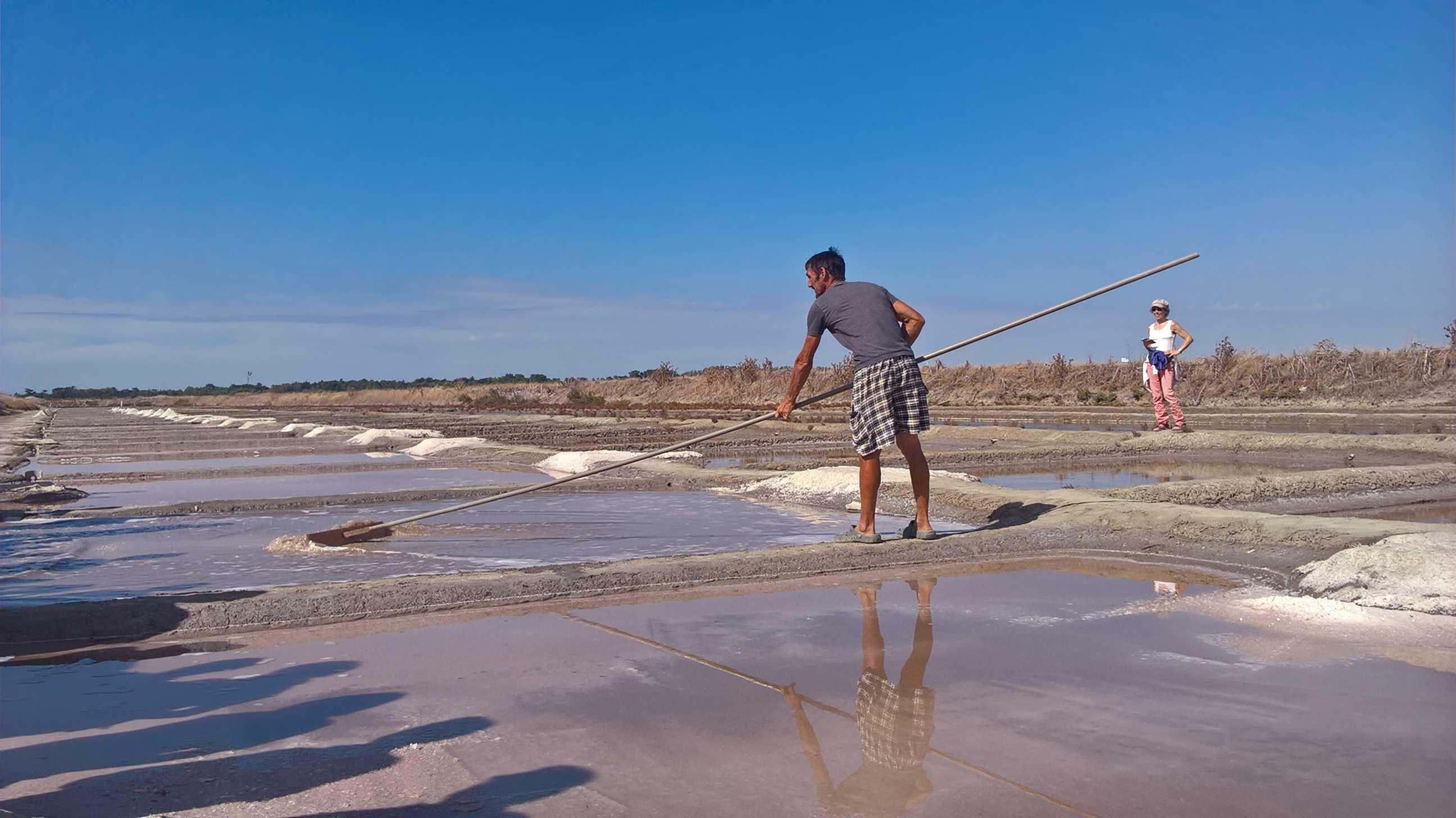 Demonstration du ramassage