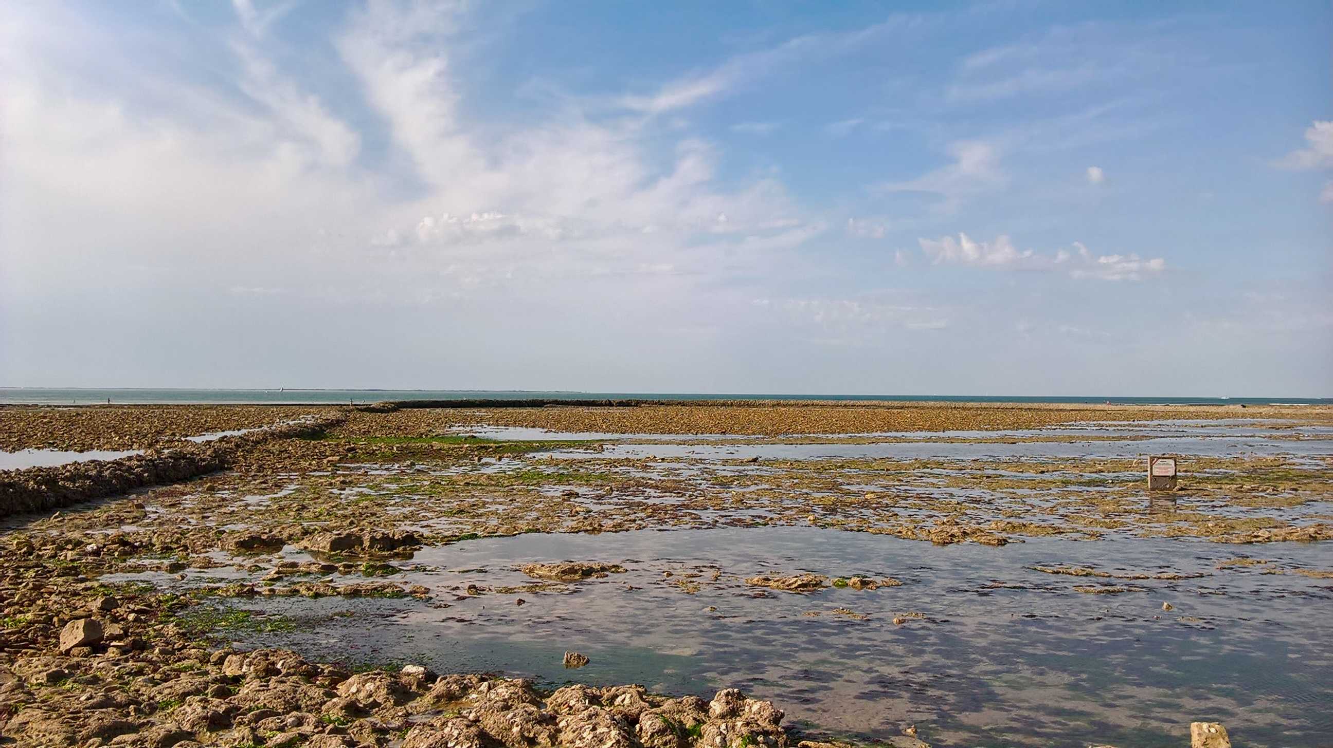 Ecluse a poissons surface