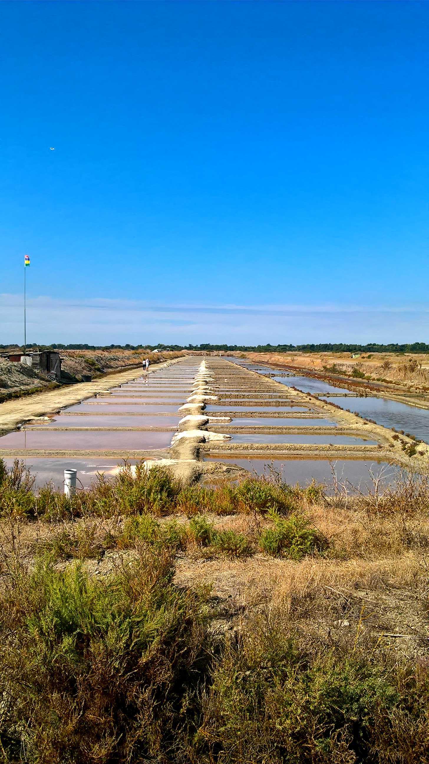 La saline au petit bonheur
