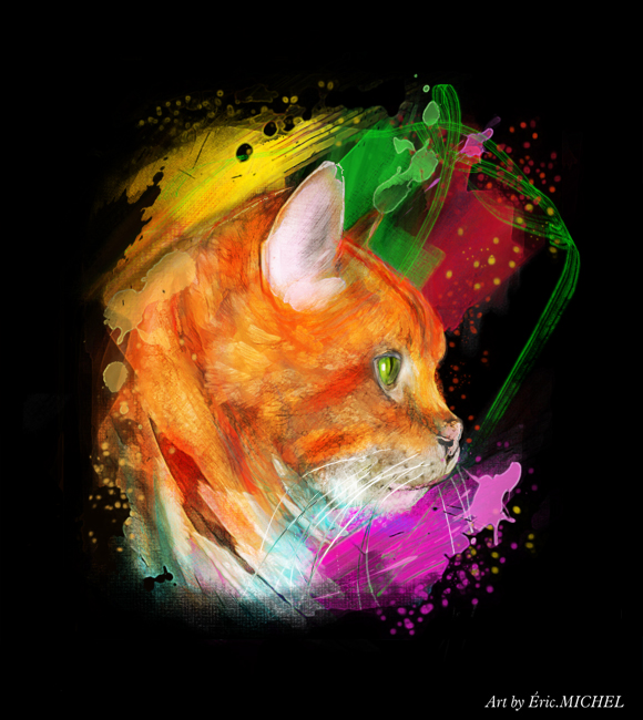 Oscar popart wsite