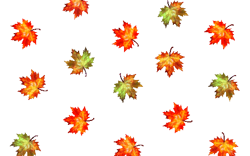 11-33-04-816 512