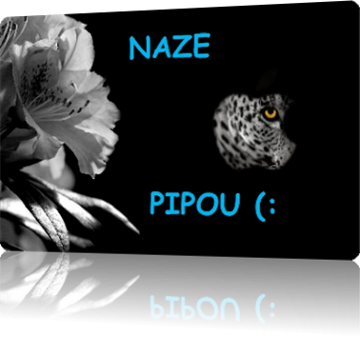 Block1464691 pt img fonds decran mac n flower veedubbdood 11103