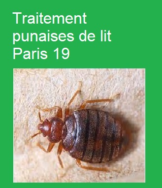 Traitement punaises de lit Paris 19