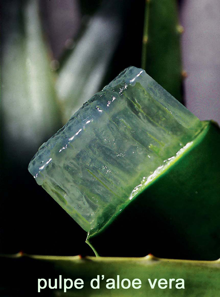 Aloevera pulpe