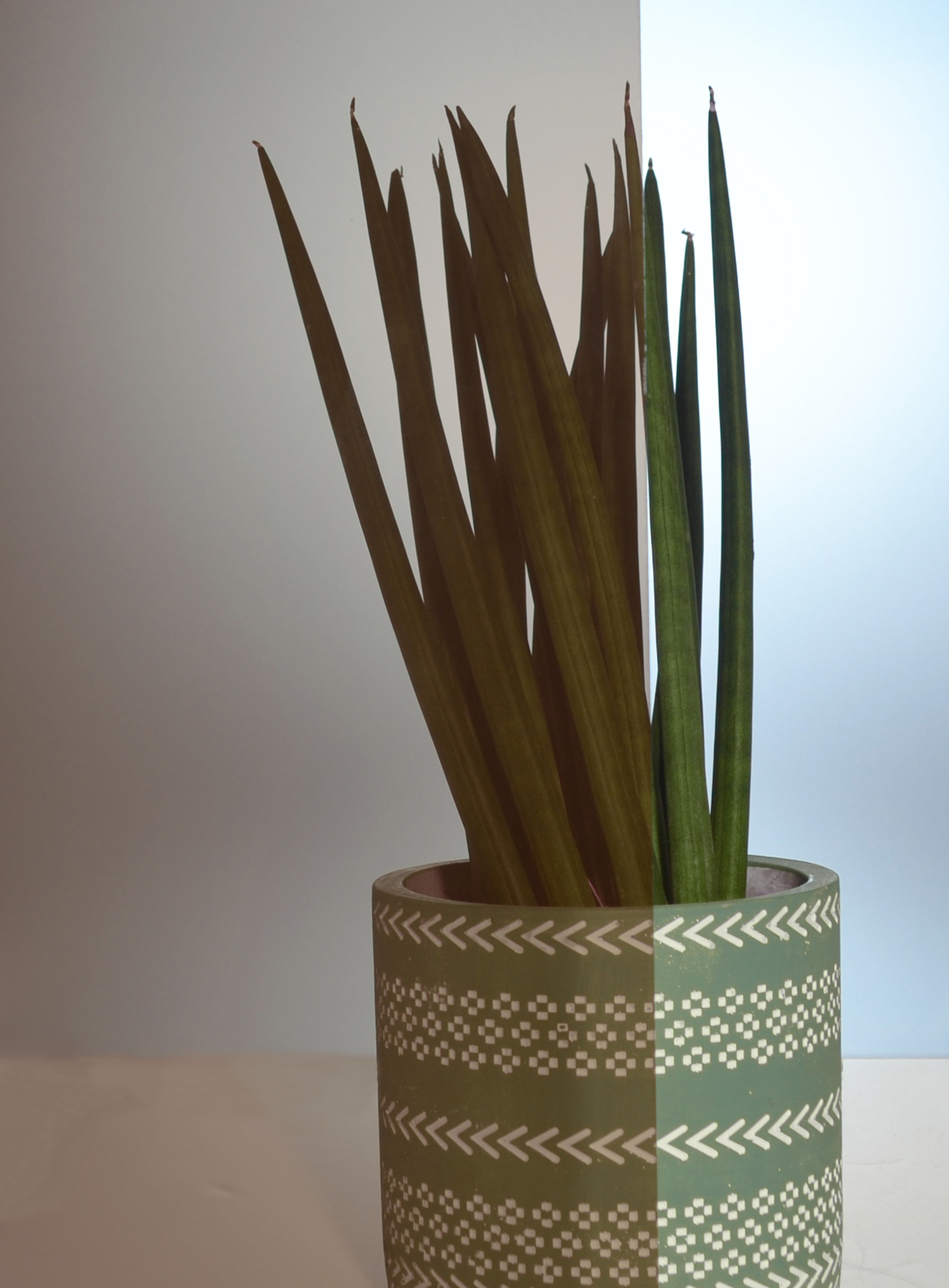 Parsol bronze