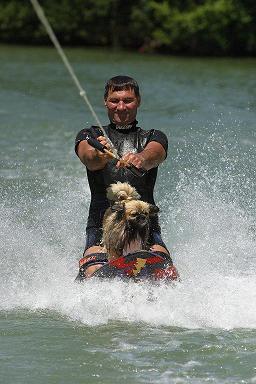 Tibet surfmer