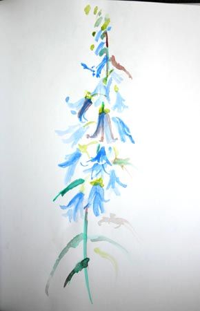 Fleur bleue laura geigant 