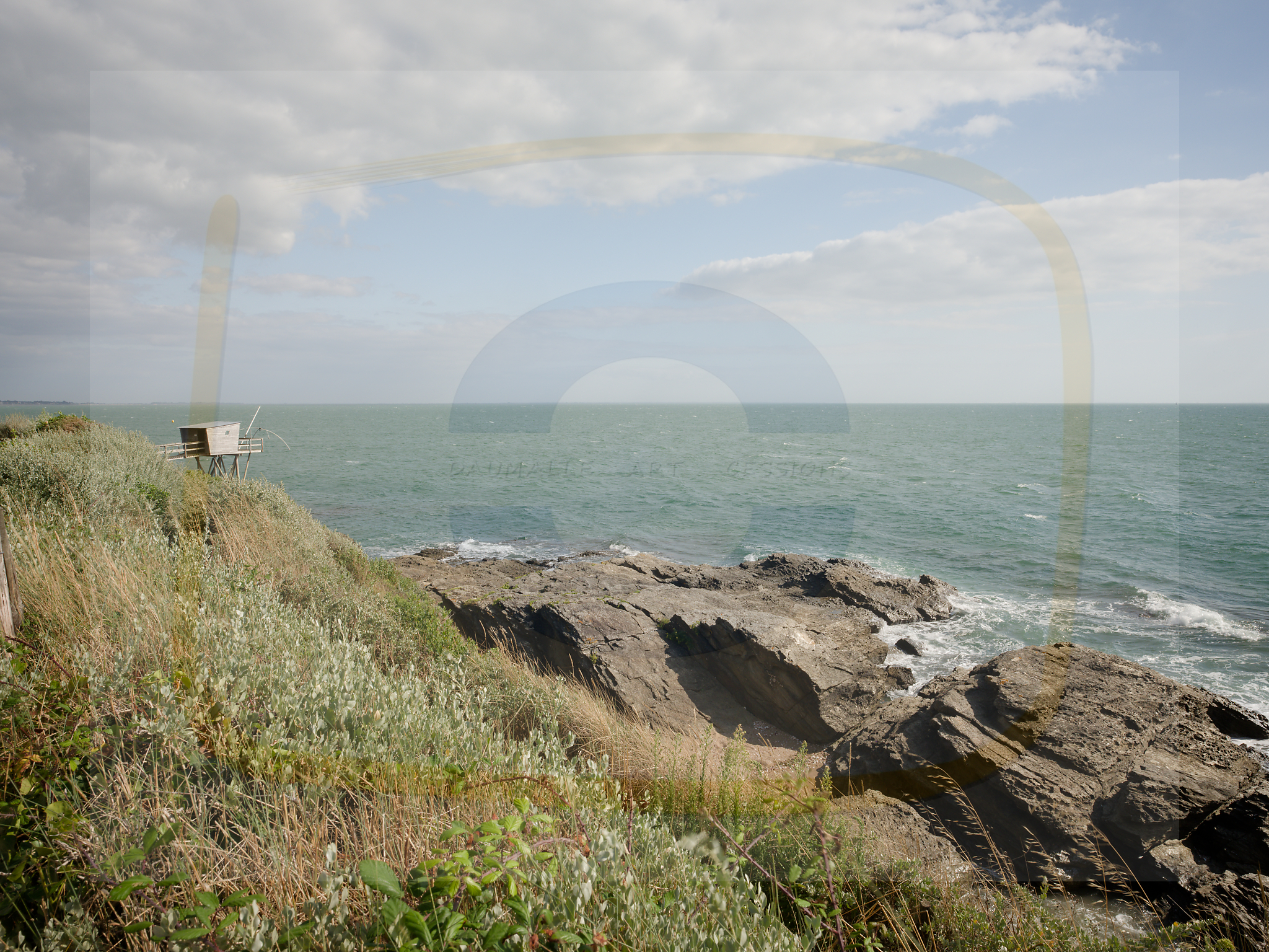 8 dscf4861 dxo 10122025 1