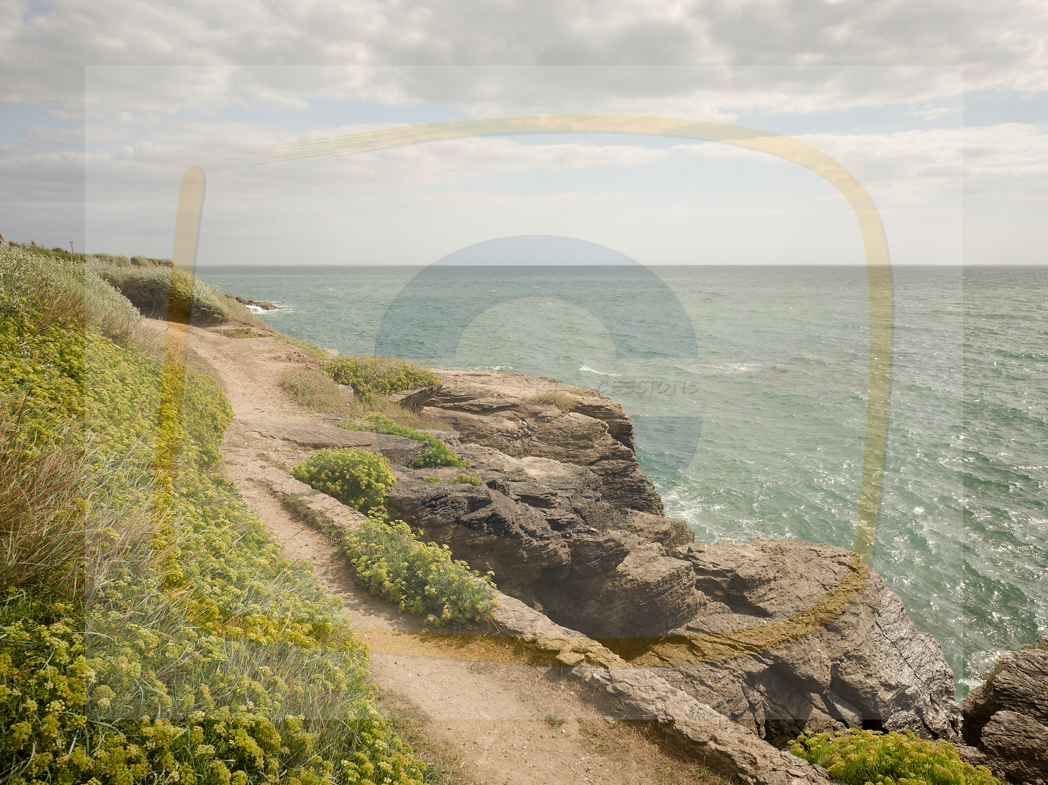 6 dscf4838 dxo 10122025 1