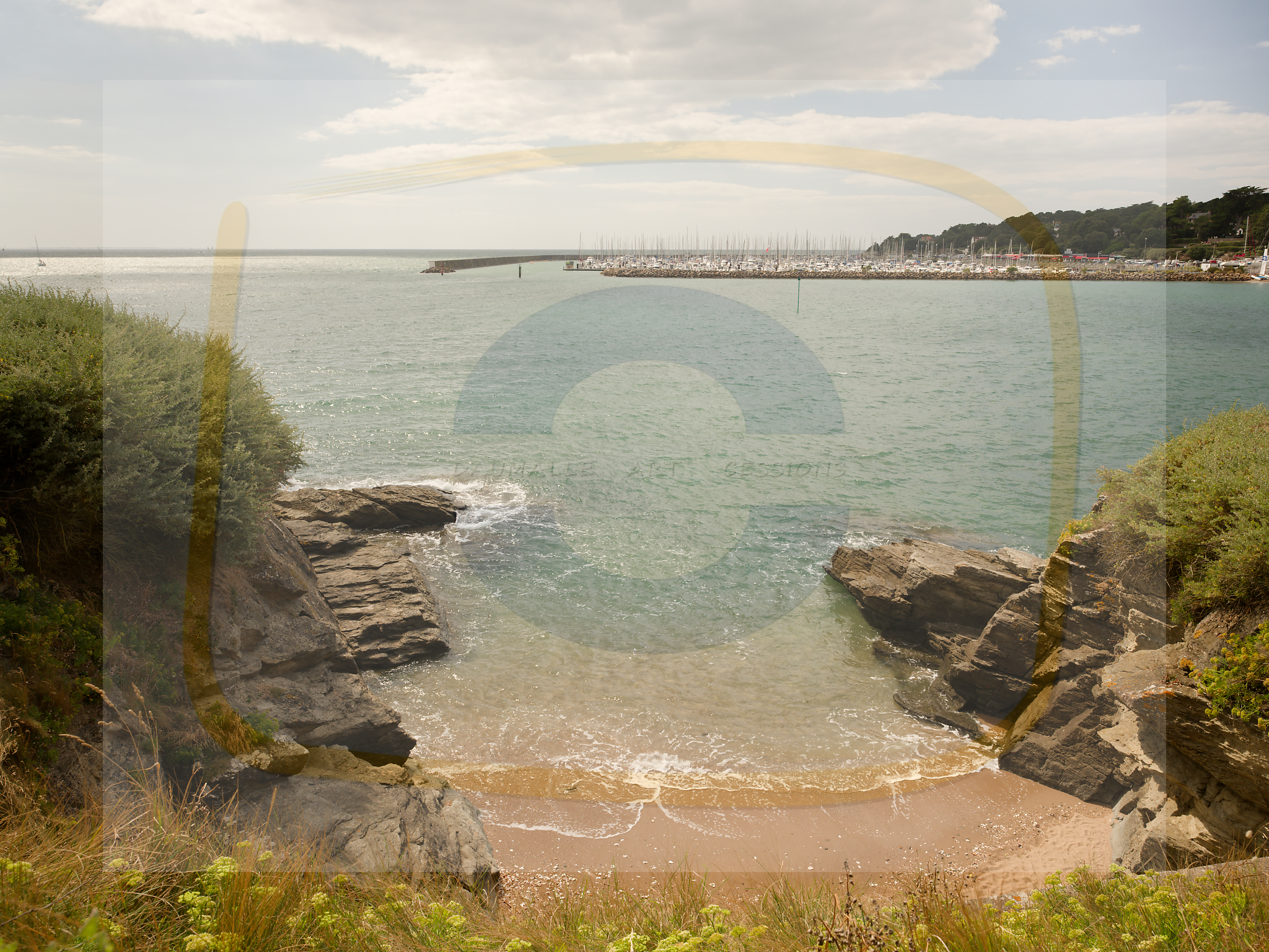 5 dscf4831 dxo 10122025 1