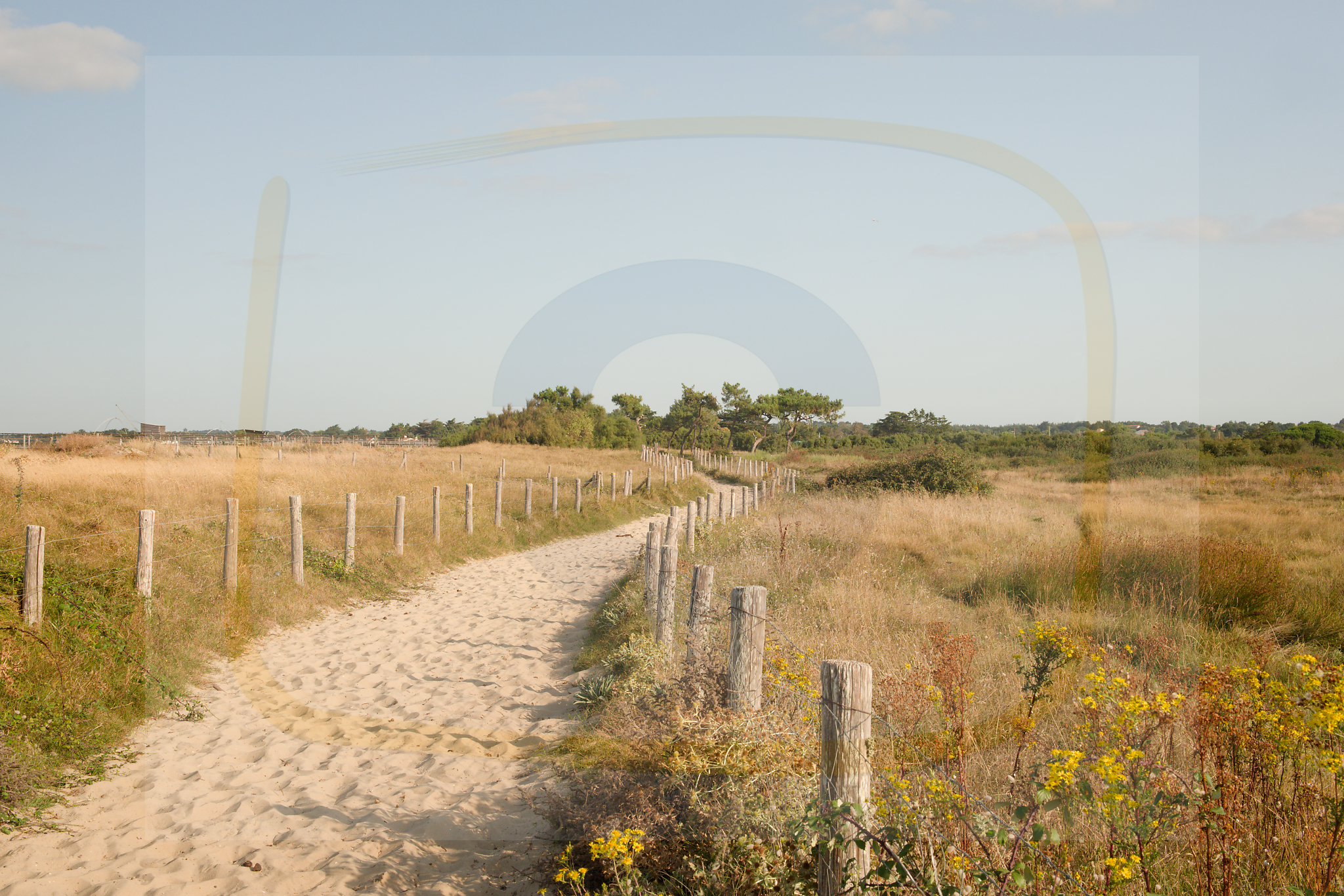 14 dscf4900 dxo 13122025 1