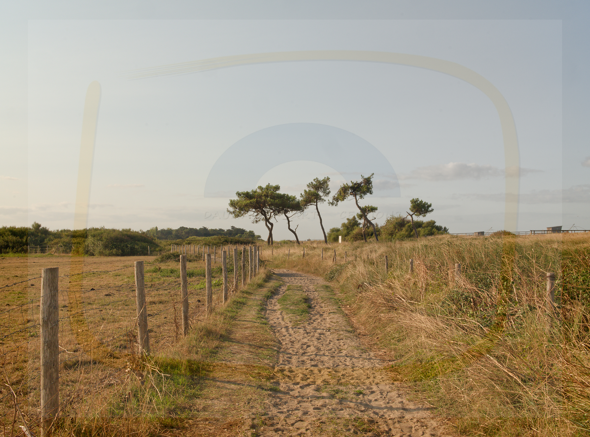 13 dscf4891 dxo 13122025 1