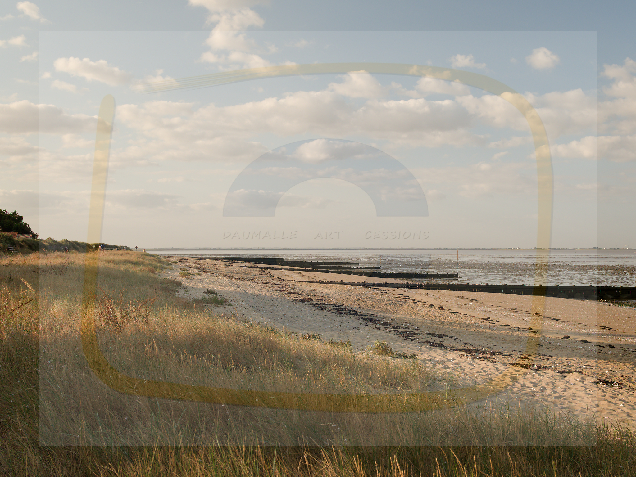 10 dscf4871 dxo 13122025 1