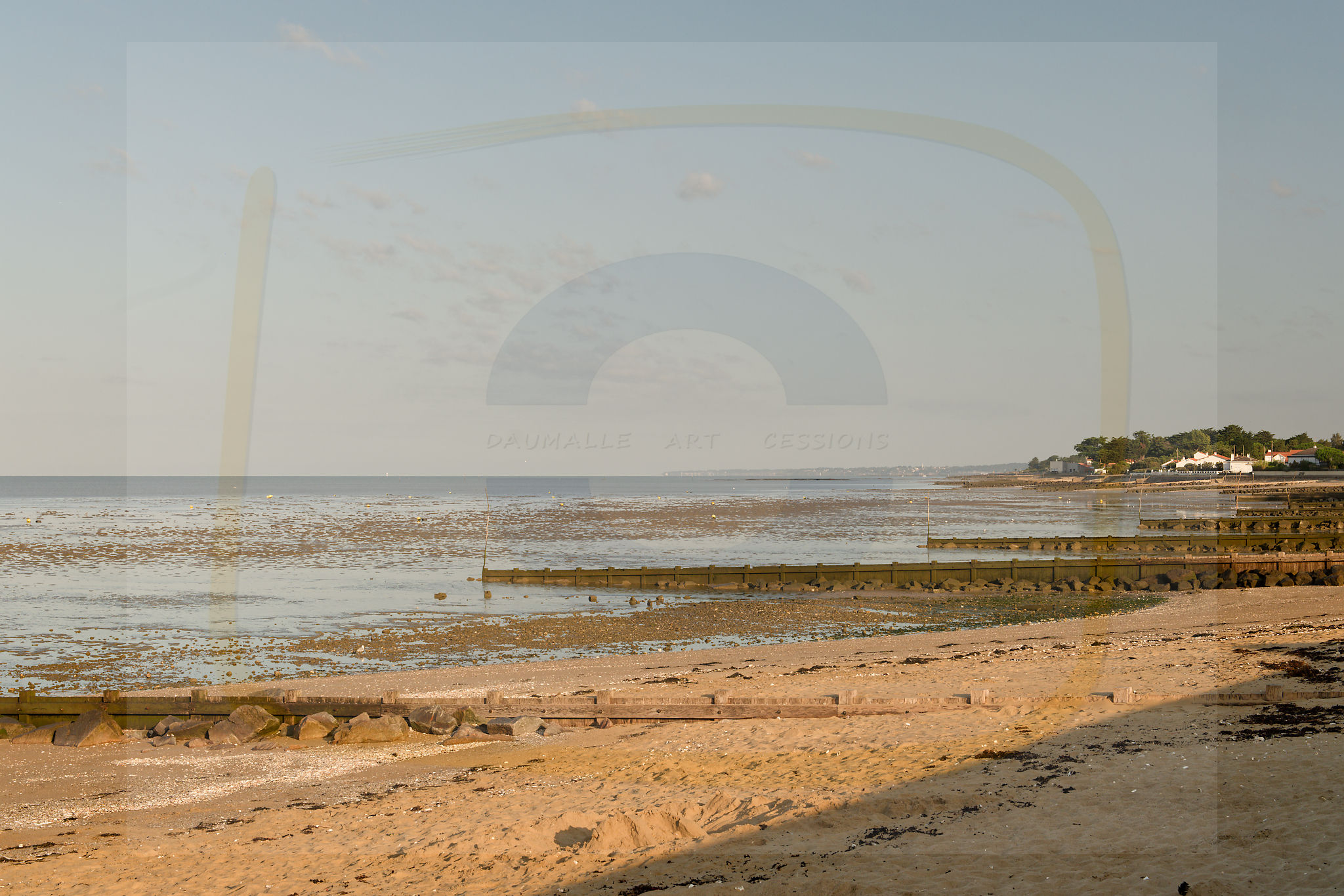 9 dscf4868 dxo 13122025 1