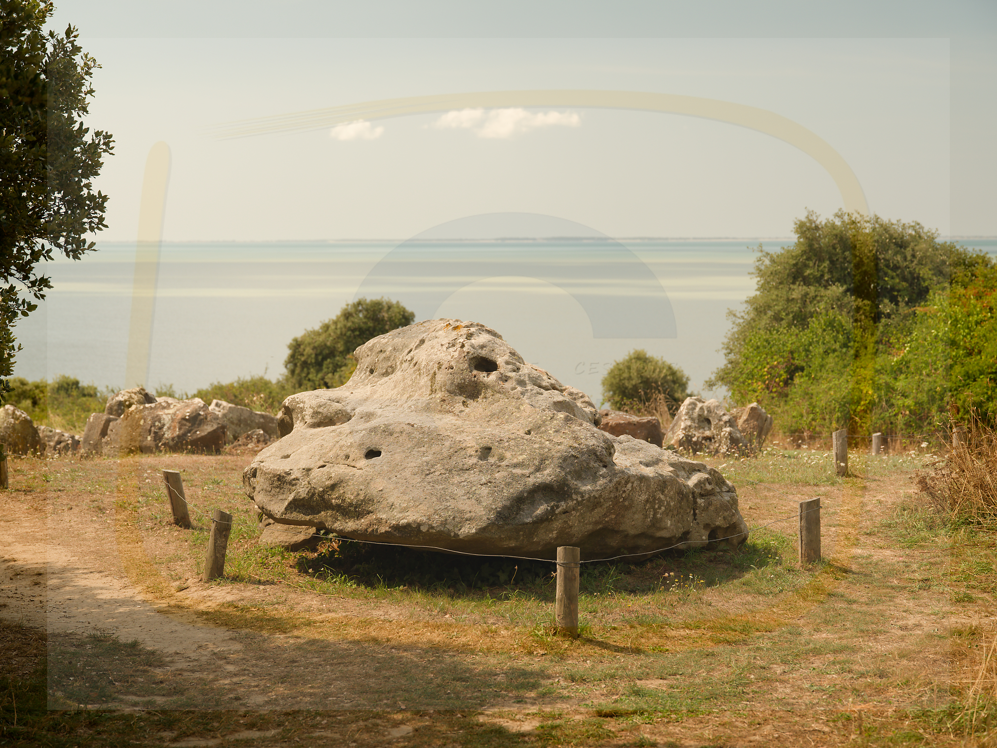 19 dscf4937 dxo 13122025 1