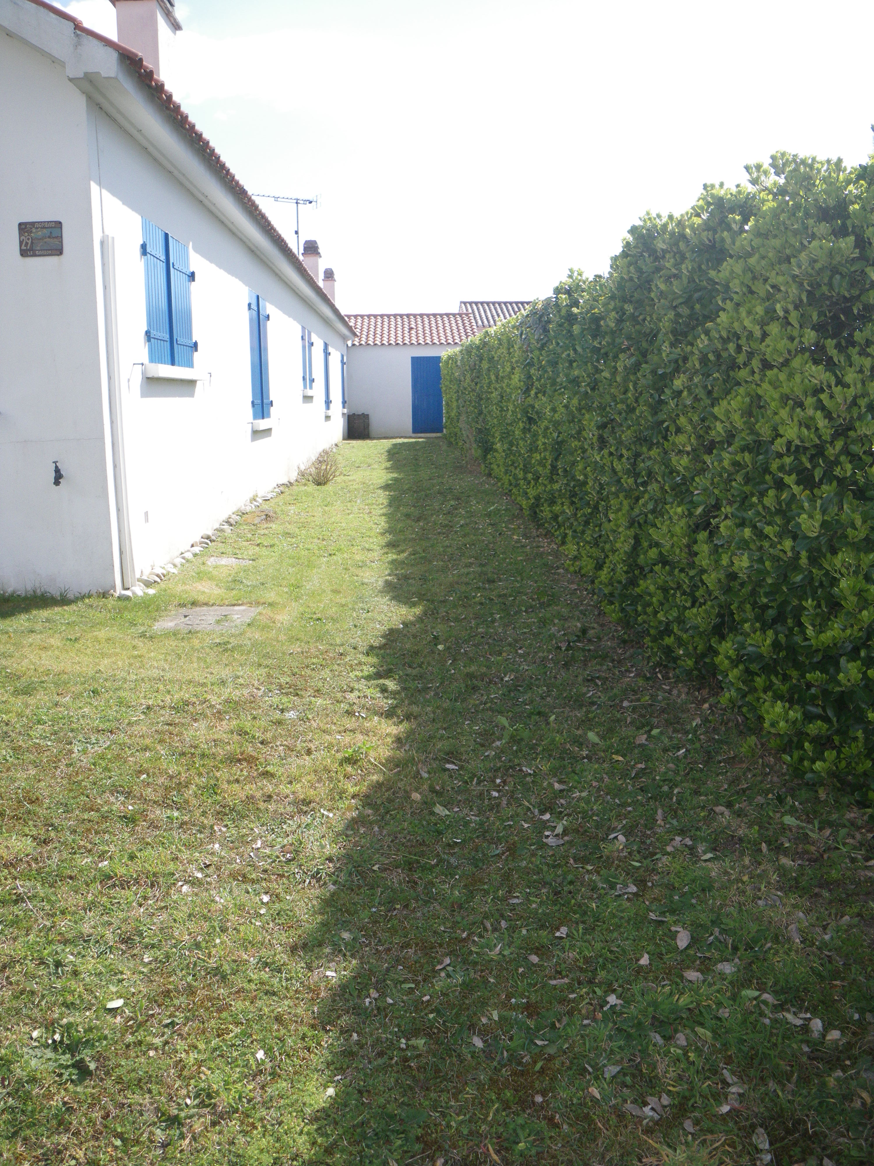 Imgp0101
