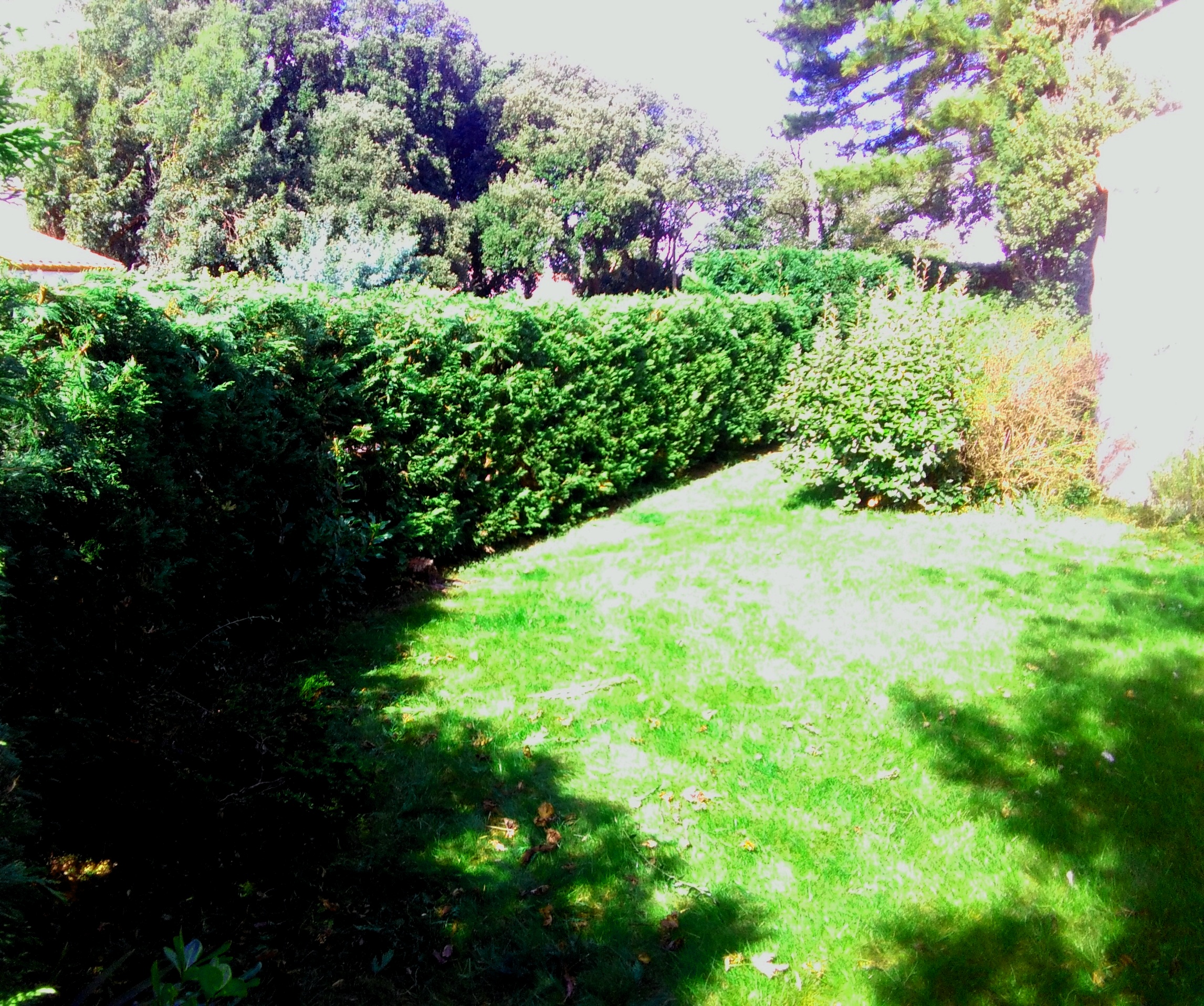 Img 20151007 145121