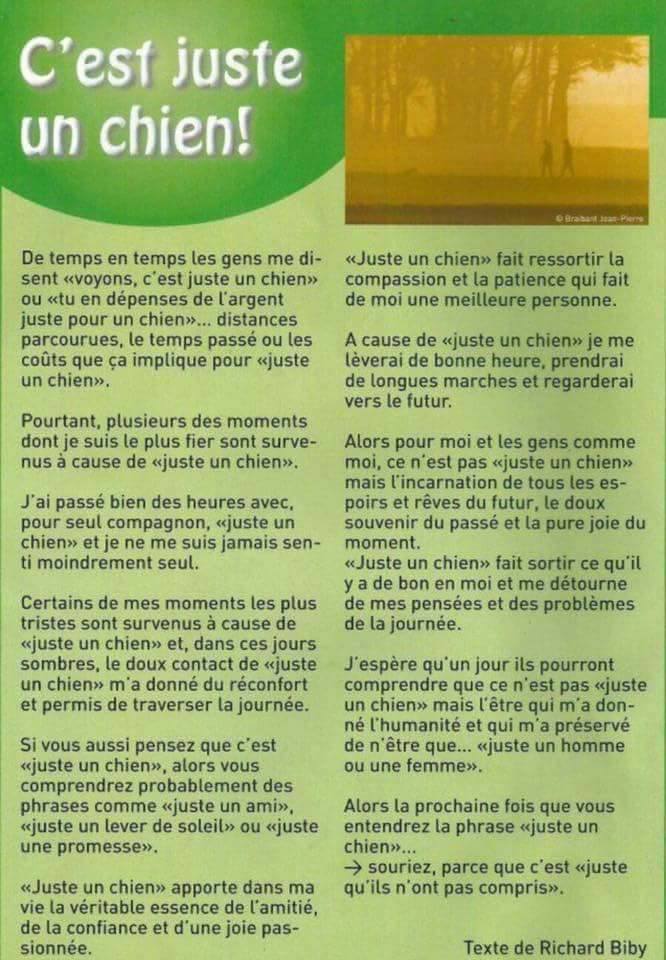 15826768 1421456434565931 5099166783297110635 n