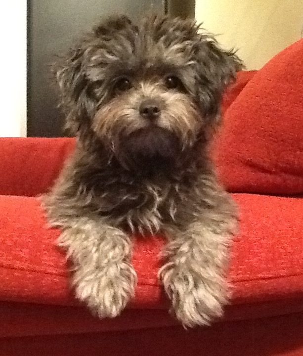 12400464 1114041201974124 2046029598133754277 n