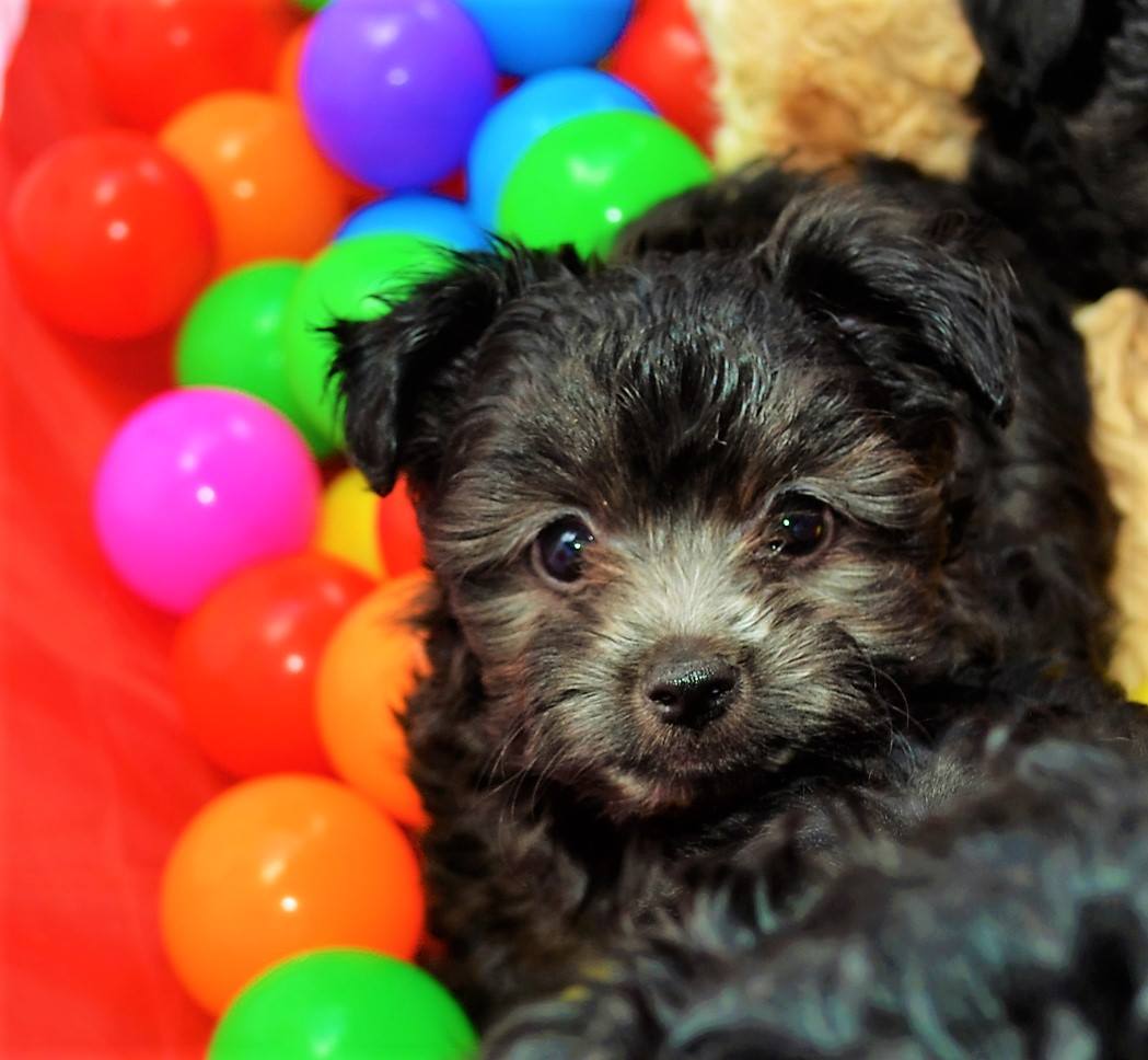 13738313 1254347771276799 1148591530615036952 o