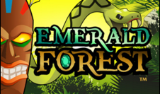 Emerald forest